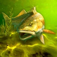 My Fishing World Взлом на Андроид